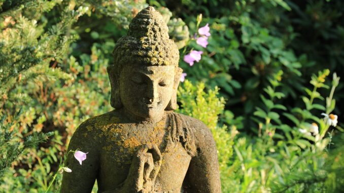 buddha-3493414_1280